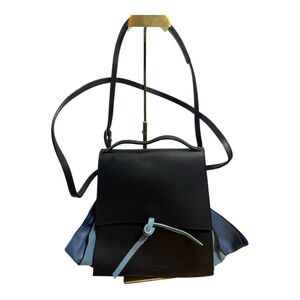 Chic Black and Blue Women's Bag